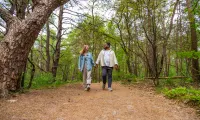 EuroParcs De Wije Werelt Couple Walking Forest