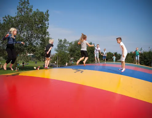 Playground De Goudvis