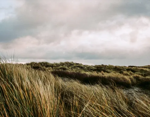 zandvoort