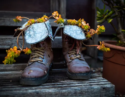 Garden Boots