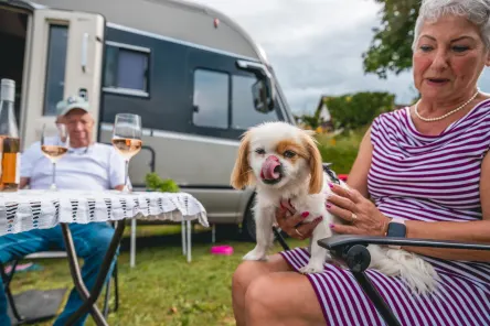 Camping mit Hund in Österreich im EuroParcs Wörthersee