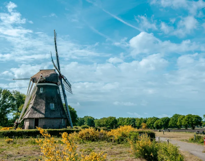 Dwingelderveld National Park Molen