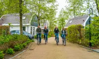 Koningshof Cycling Family Bike Rental