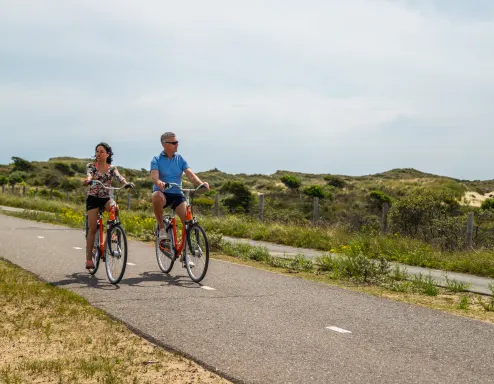 bike rental - noordwijkse duinen 