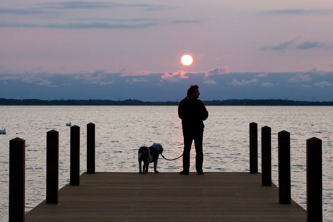 sunset-dog-veluwemeer