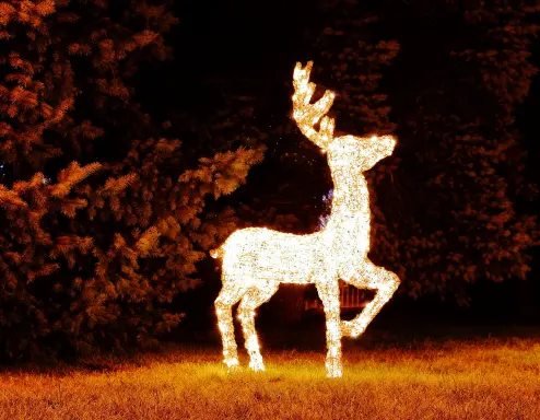 winterlicht-in-nunspeet-europarcs-veluwemeer