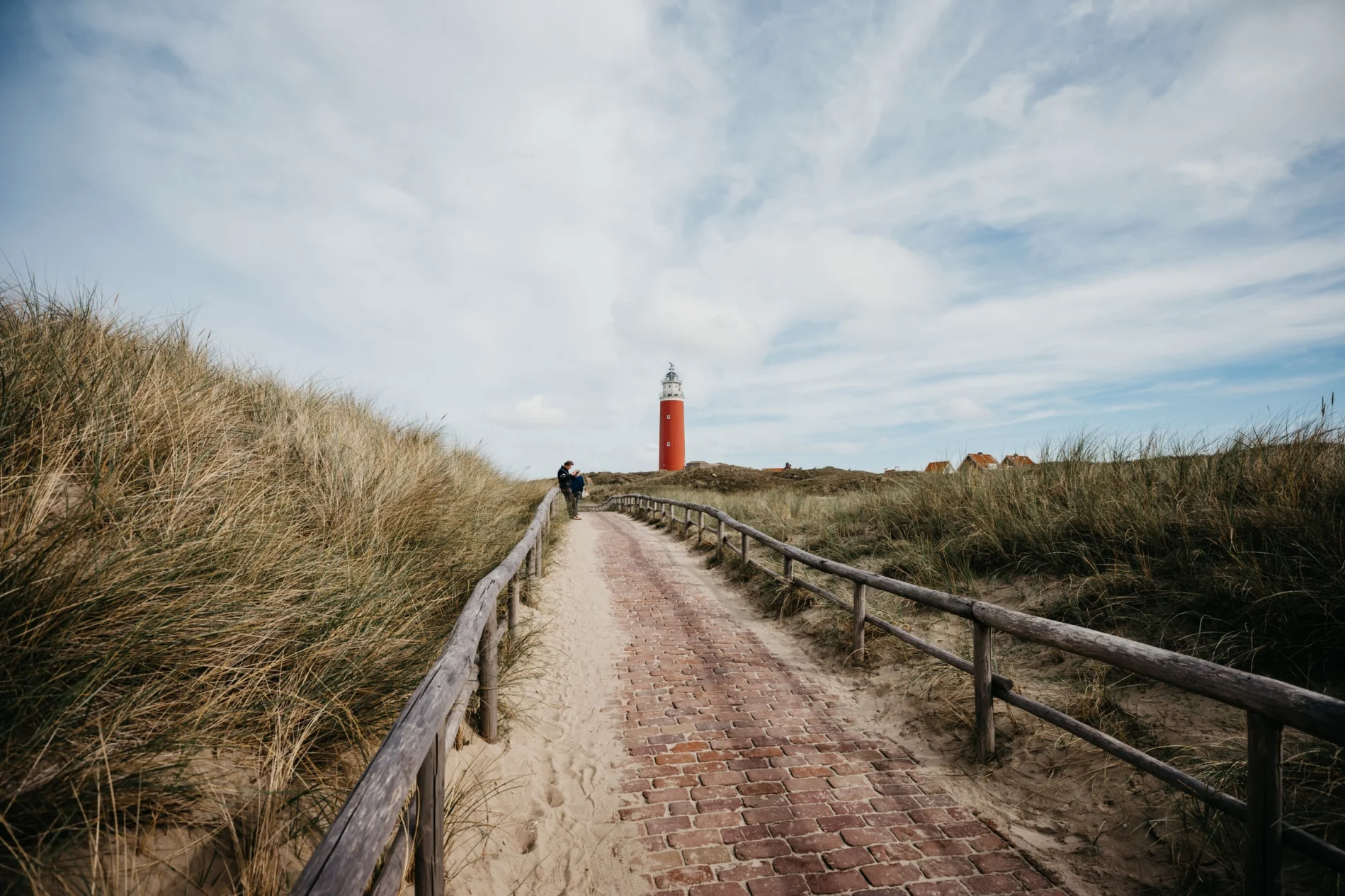 Texel lighouse dunes