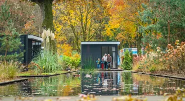 Hooge Veluwe Herfst Familie Water Vijver Eenden