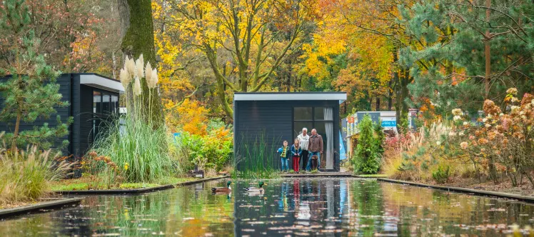 Hooge Veluwe Herfst Familie Water Vijver Eenden