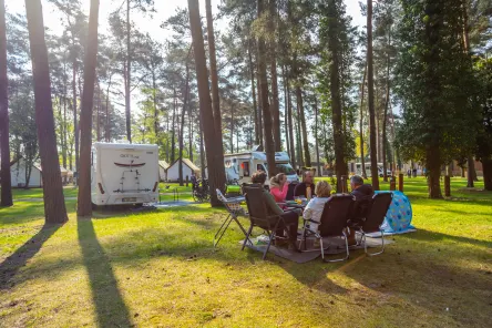 Camping Frühling Familie Wald