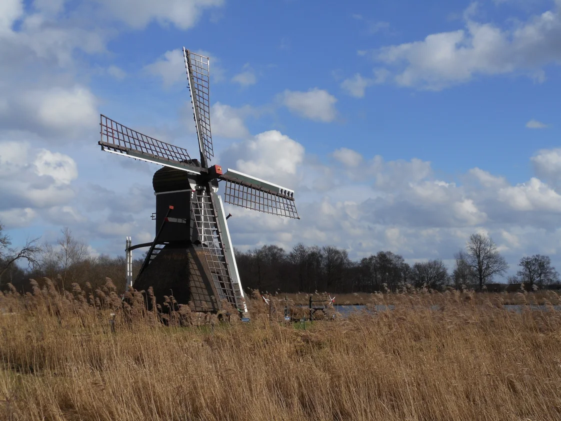 Weerribben Wieden