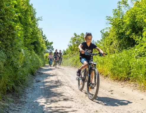 Limburg Family Cycling Bike Rental