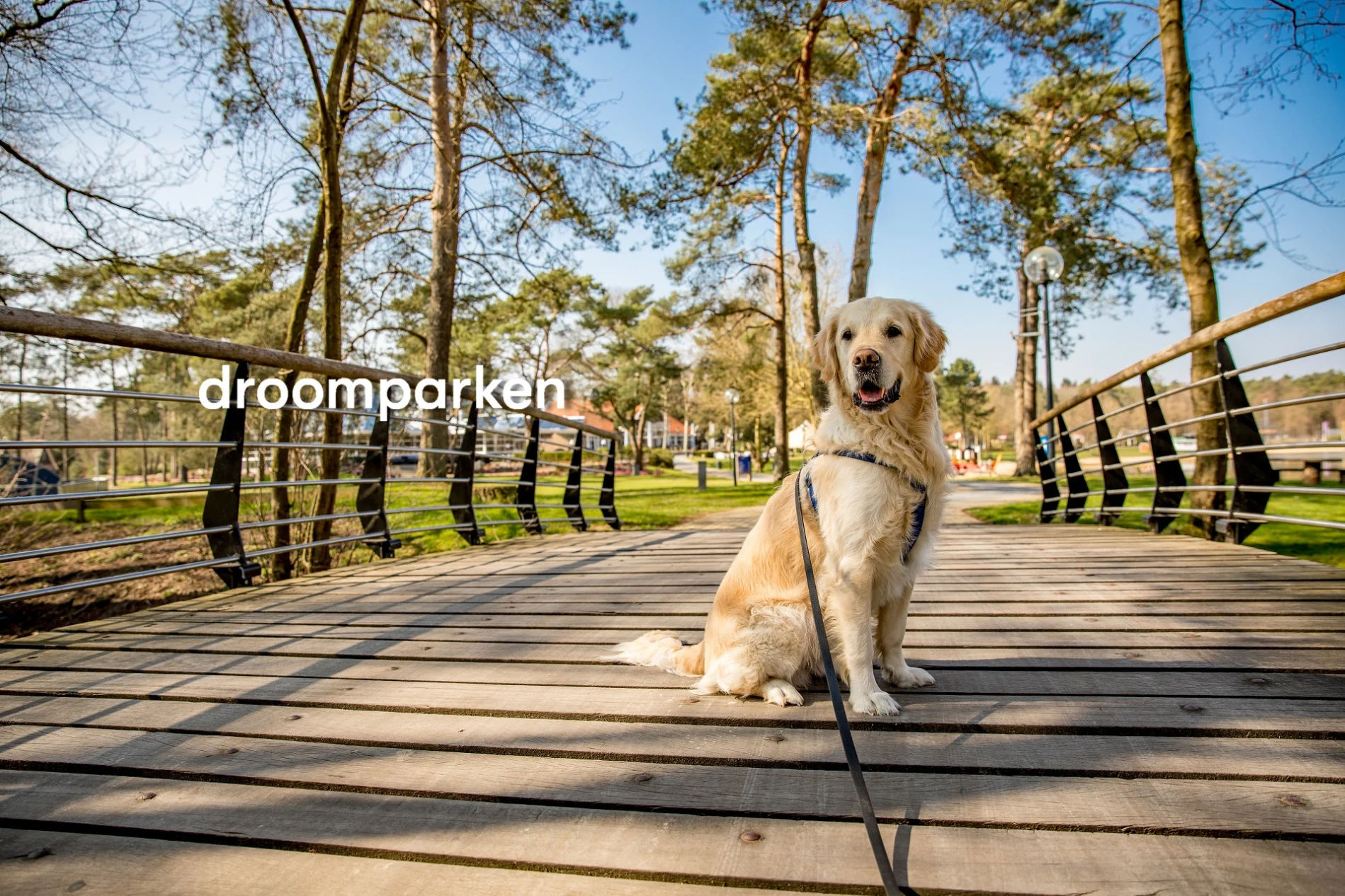 Droomparken Header 2