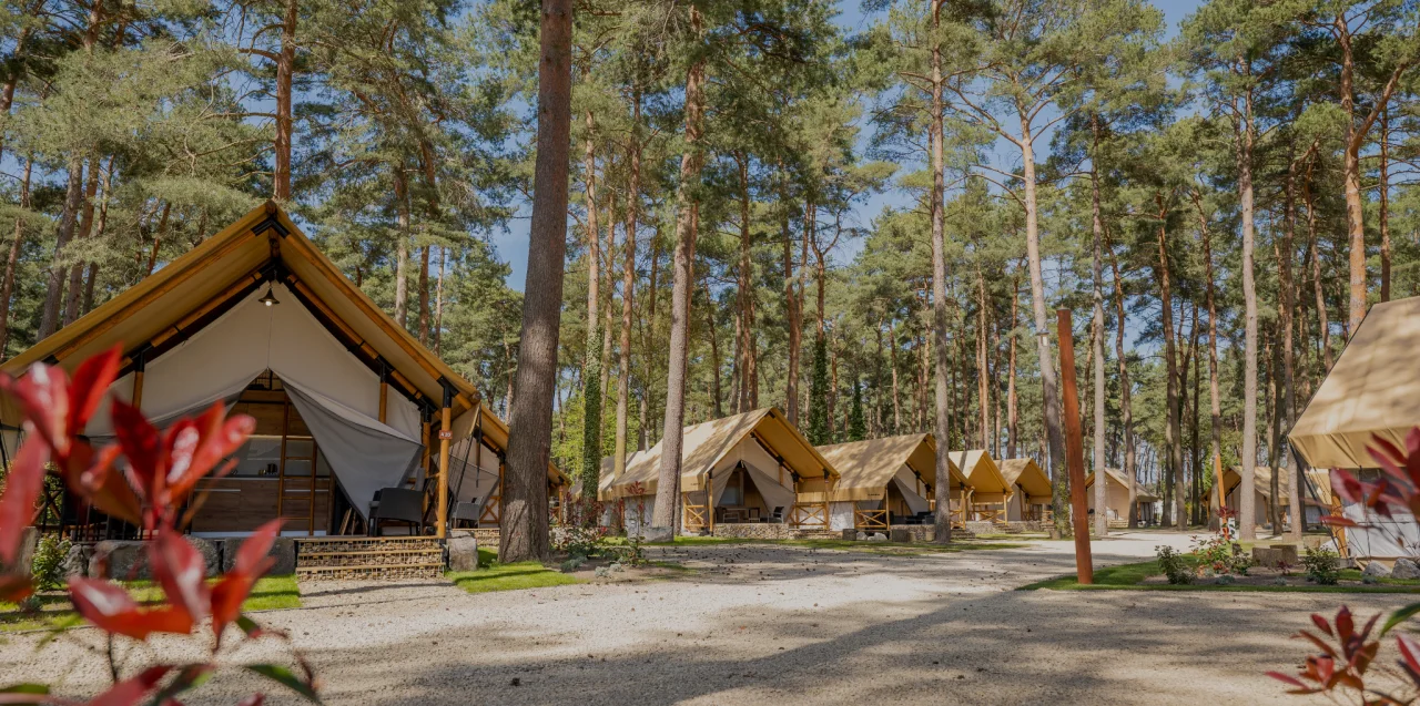 Hoge Kempen Glamping Trees Overview Dark