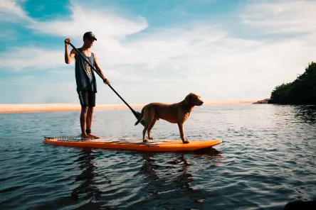 Man and Dog Stand up paddling
