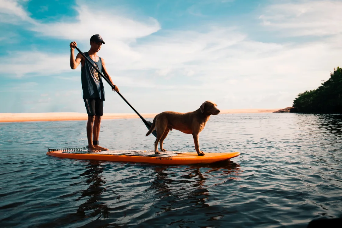 Man and Dog Stand up paddling