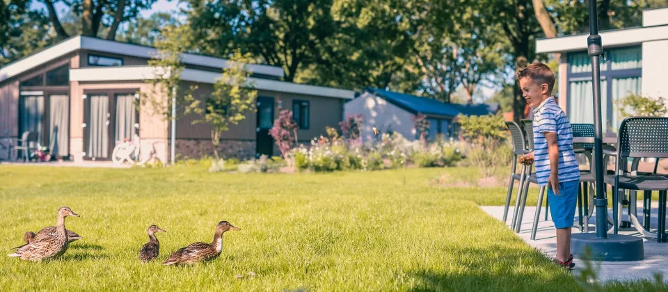 intro-ducks-holiday-home-europarcs-kaatsheuvel