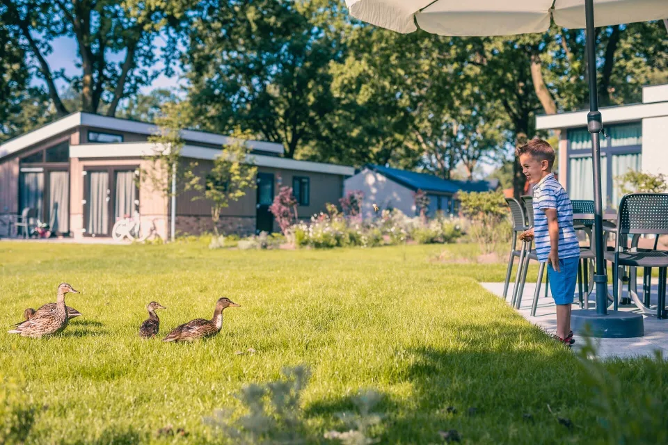 intro-ducks-holiday-home-europarcs-kaatsheuvel