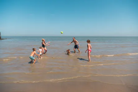 Holiday park EuroParcs Cadzand dog beach water sea sand family play