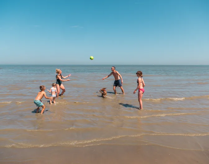 Ferienpark EuroParcs Cadzand Hundestrand Wasser Meer Sand Familie spielen