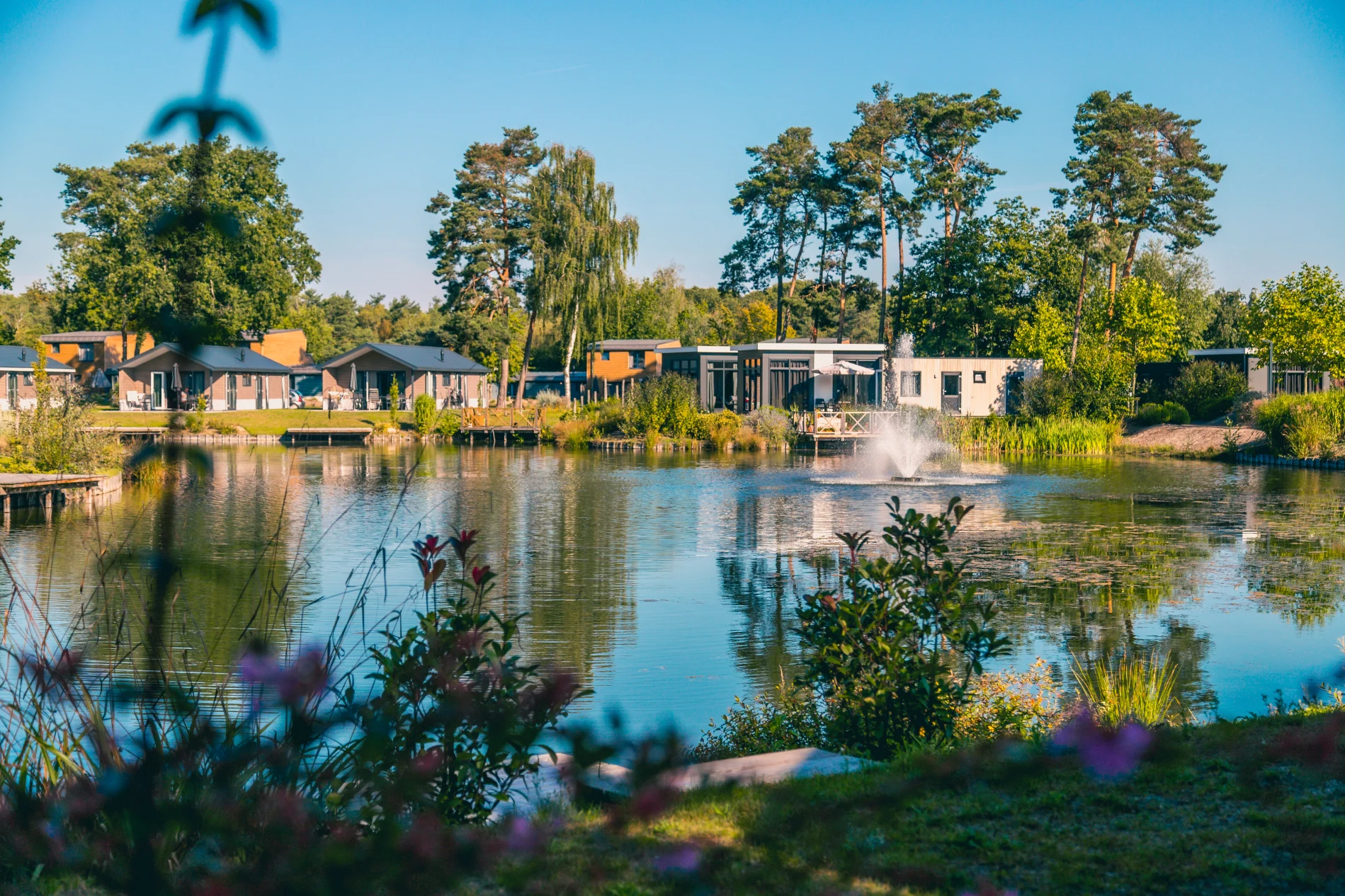 header-view-accomodation-europarcs-zilverstrand