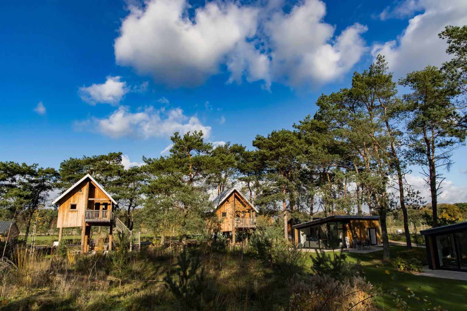 tree-houses-europarcs-de-wije-werelt