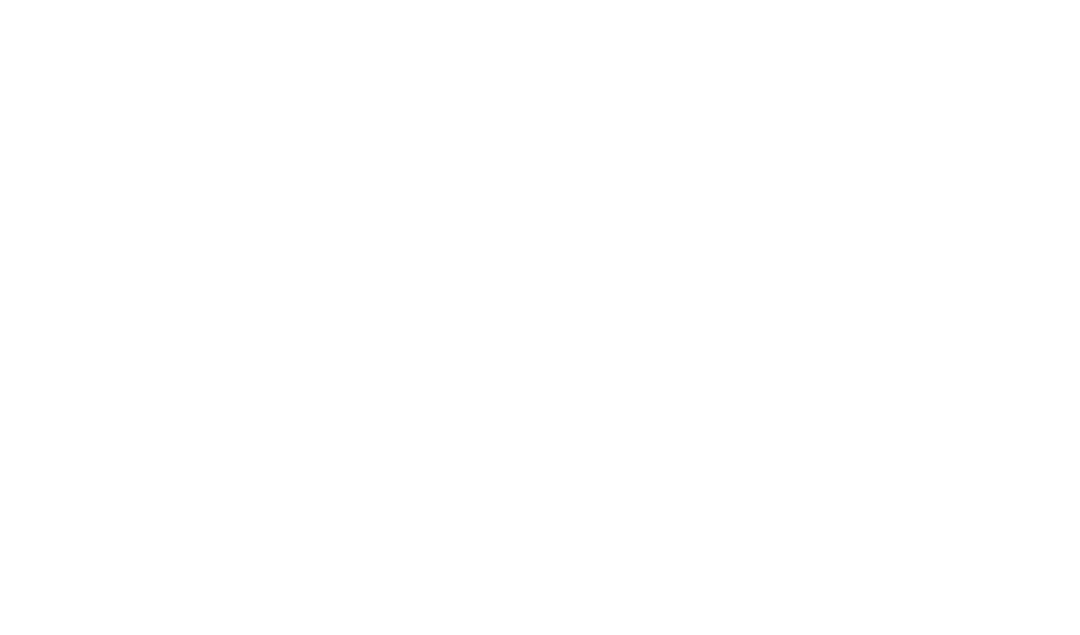 Deep Silver Partners