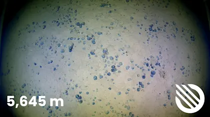Seabed nodules at 5645 m.