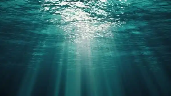 underwater with sunlight