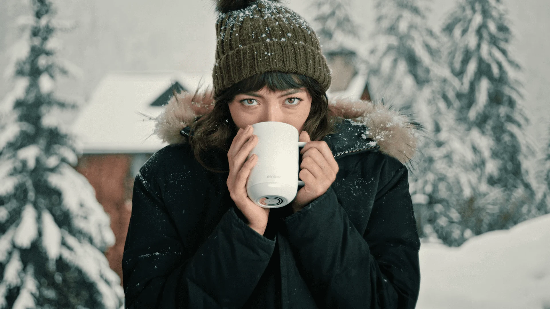 Life Well Sipped - Evergreen