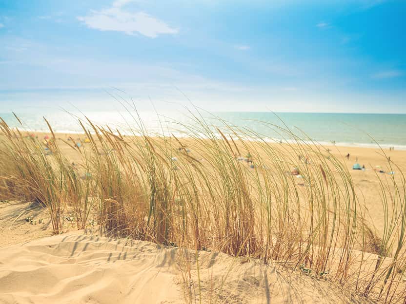 Image showing serene coastal marshland with tall grasses in Delaware.