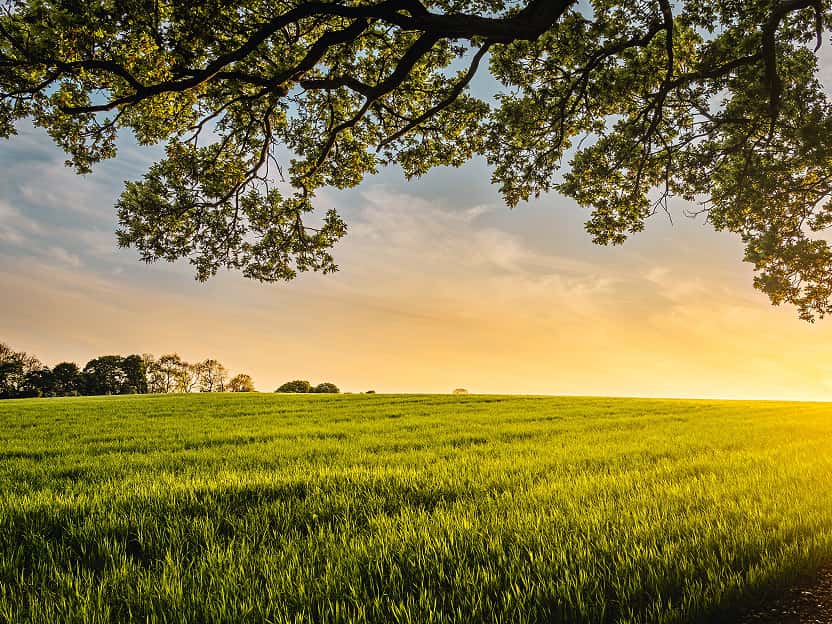 Image showing green grass fields in the countryside in Missouri.