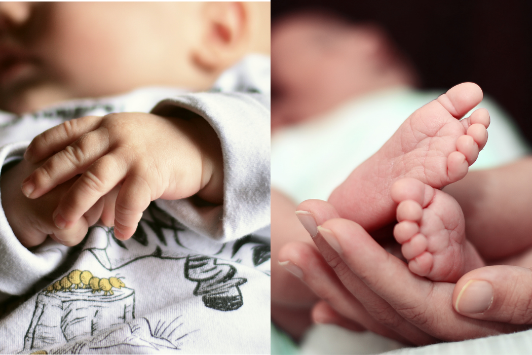 September Newsletter Blog LD Nurses