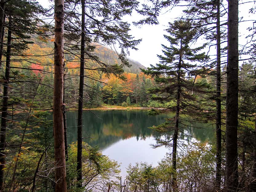 Image showing autumn foliage in a forested mountain valley in New Hampshire.