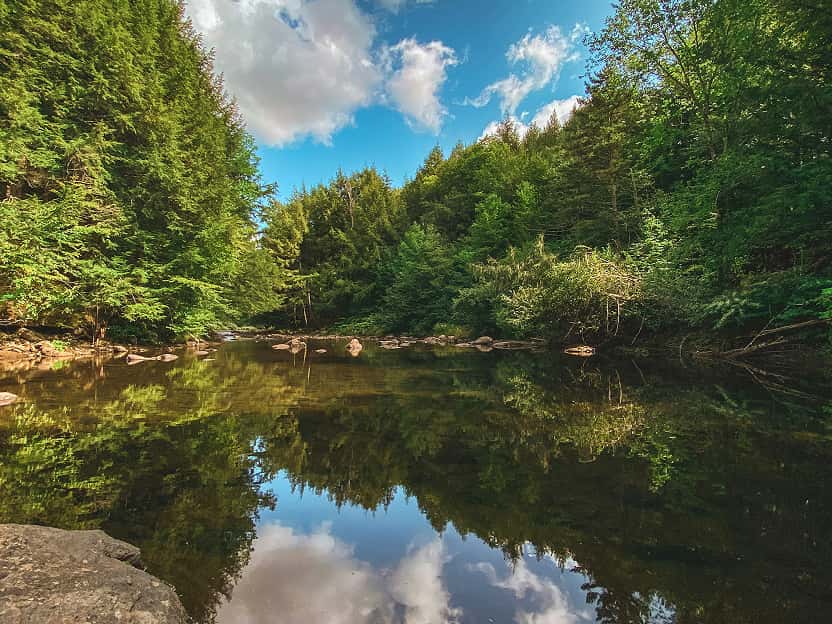 Image showing a body of water surrounded by a dense forest in Vermont.