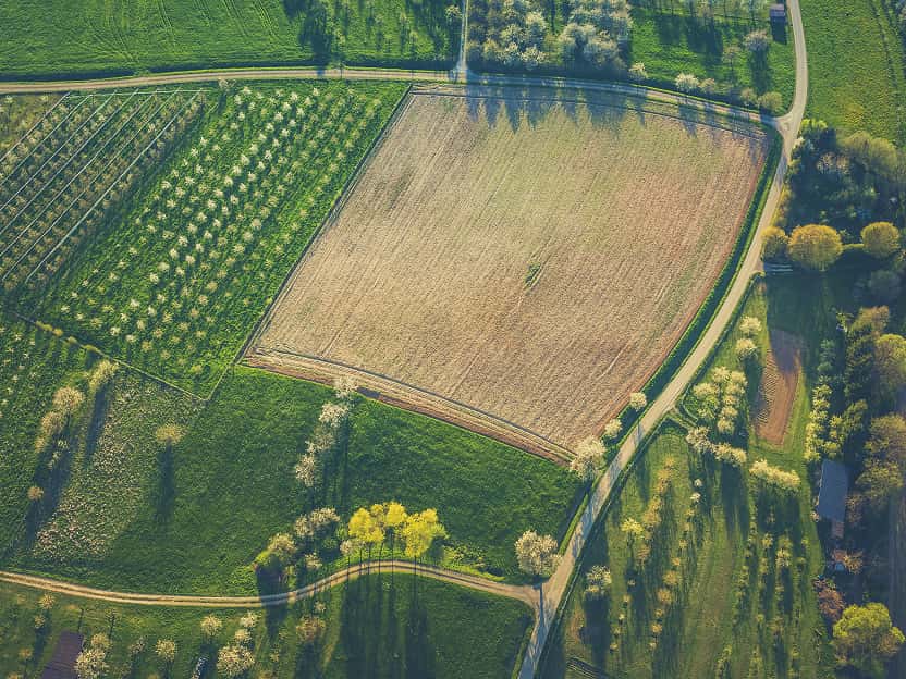 Image showing an aerial view of agricultural fields in Iowa.
