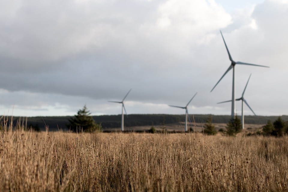 windfarm