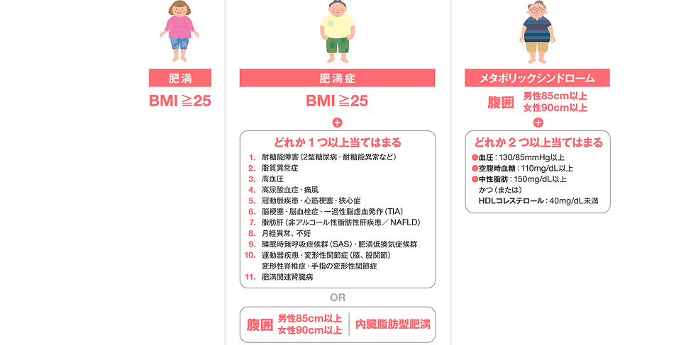 肥満はBMI25以上、肥満症はBMI25以上かつ肥満に起因ないし関連する健康障害（合併症）を1つ以上有するか、あるいは内臓脂肪蓄積がある場合など関連健康障害の合併が予測され、医学的に減量を必要とする病態、メタボリックシンドロームは腹囲男性85cm、女性90cm以上かつ血圧、空腹時血糖、中性脂肪、HDLコレステロールの設定値に2つ以上当てはまる状態を指す。