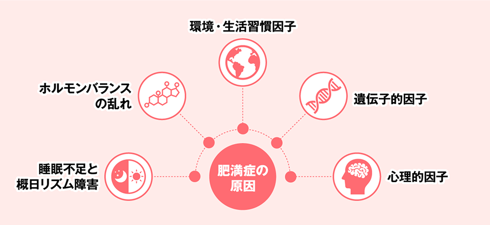 肥満症の原因は、「睡眠不足と概日リズム障害」、「ホルモンバランスの乱れ」、「環境・生活習慣因子」、「遺伝子的因子」、「心理的因子」