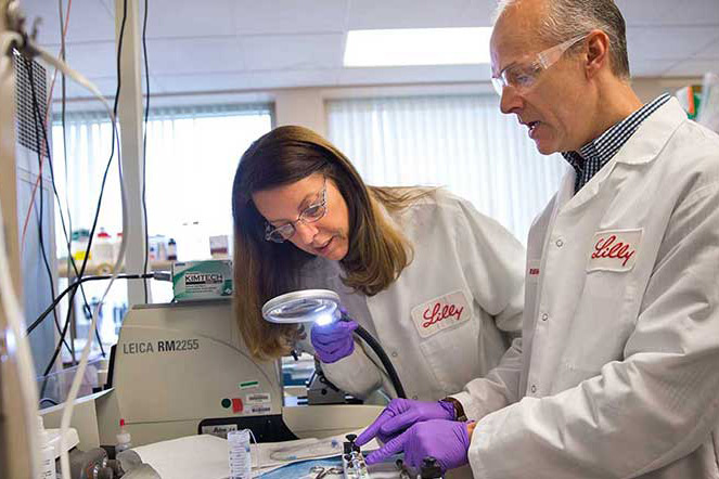 two scientists pointing at slides in the lab under microscope