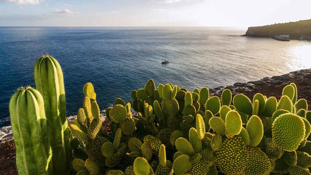  Mein Schiff: Every moment is a journey in itself. Illustration 