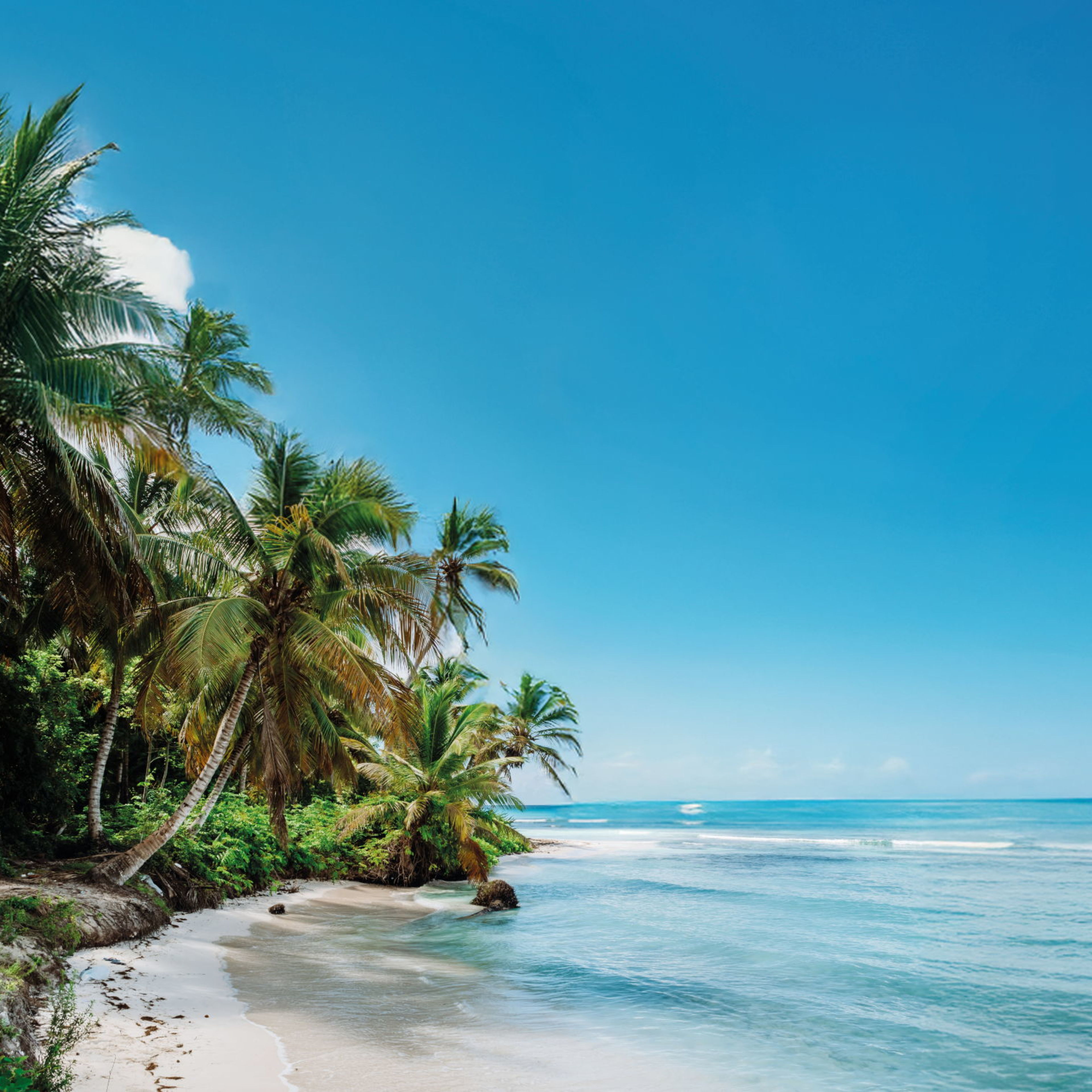 Karibik-Kreuzfahrt Mein Schiff Strand