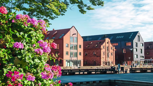 Kleine Juwelen der Ostsee