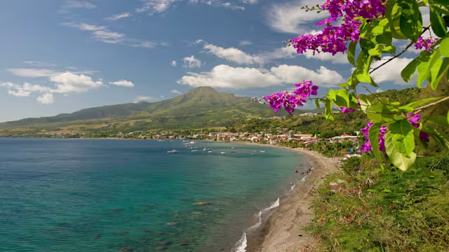 La romana,Seetag,Kingstown (st. vincent),Bridgetown (barbados),Bridgetown (barbados),St. george's (grenada),Castries (st. lucia),Fort-de-france (martinique),Pointe-à-pitre (guadeloupe),Roseau (dominica),Seetag,St. john's (antigua),Basseterre (st. kitts),Seetag,La romana – Mein Schiff 4