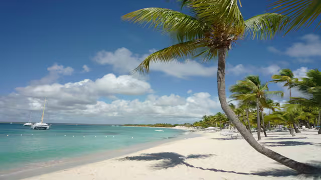 USA Ostküste & Karibiksonne