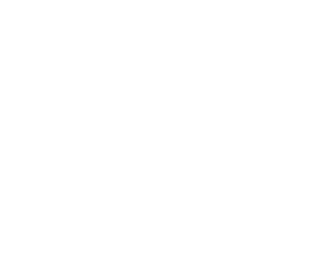 Mystery Basket