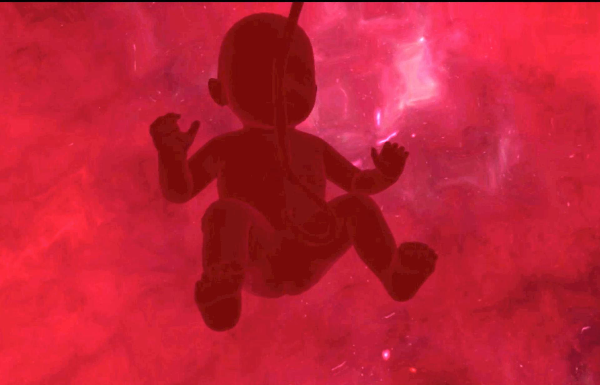 Into the Womb
