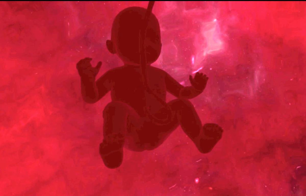 Into the Womb