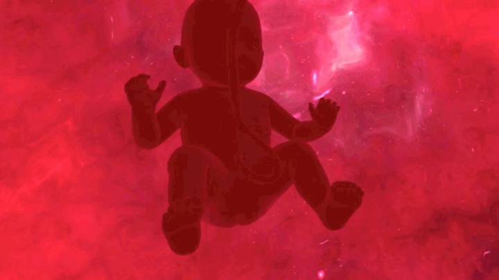 Into the Womb