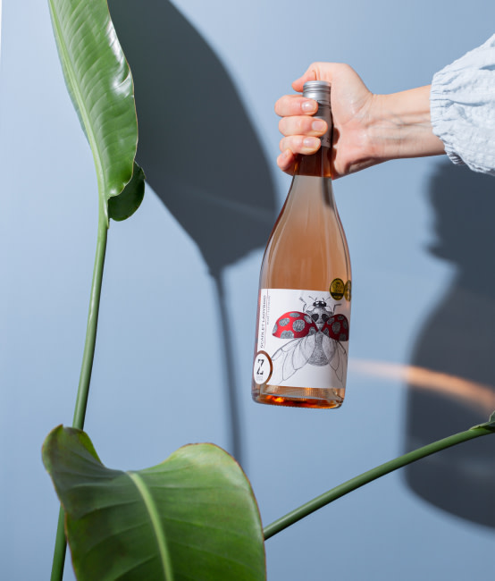 Peronal Wine Advisor PWA - What can your pwa do - Container - image